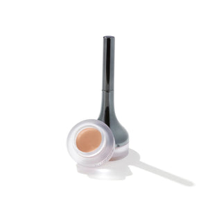 Eyebrite Camouflage Concealer