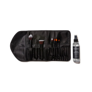 Ultimate Brush Kit